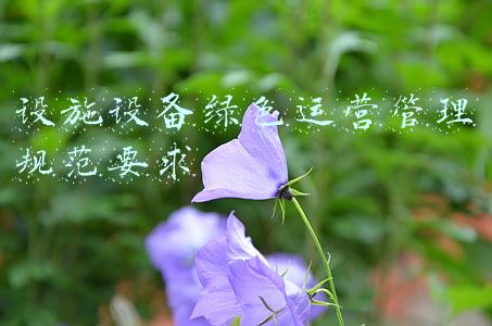 绿色基础设施(清华大学碳中和研究院：推动能源基础设施绿色转型)
