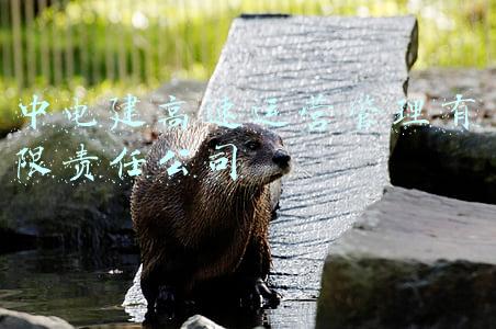 中电建高速运营管理有限责任公司