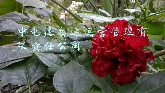 中棉工业有限责任公司(“候鸟”棉痴赵国忠)
