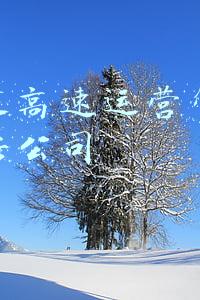 中伟康养有限责任公司(大邑县委县政府举行悦来镇招商专场推介会暨重大项目集中签约仪式)