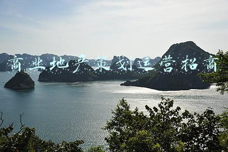 商业地产招商策划公司(迈特明星商业地产项目案例临沂鸿儒国际文化广场)