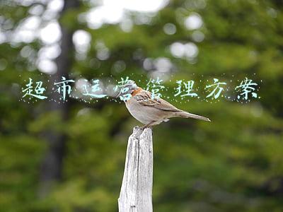 如何做超市运营管理方案(新零售连锁超市运营之日常标准化管理)