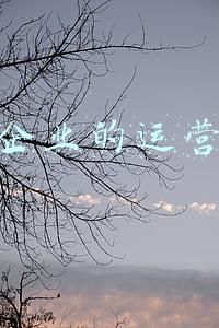 代储代销运营模式(陕煤蒲白物资供应：精细化管理推动服务保障再上新台阶)