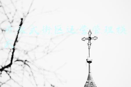 开放式街区案例(一次“民意调查”后，开放式小区装上铁门 商铺业主怒了：这合法吗？)