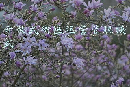 商业街区运营管理方案(打造9大商圈，6大特色街区，咸阳最新商业发展方案来了)