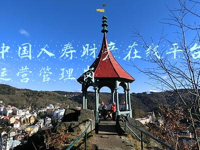 中国人寿财产在线平台运营管理岗