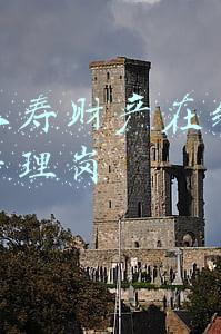 中国人寿财产在线平台运营管理岗