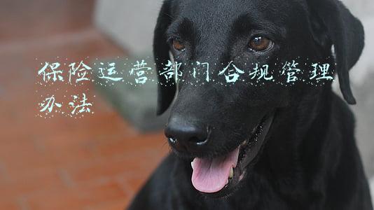 保险运营部门合规管理办法