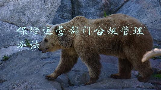 保险运营部门合规管理办法