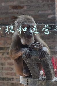 项目管理和日常运营管理的区别(什么是企业项目管理系统)