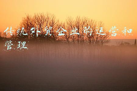 传统外贸企业的运营和管理