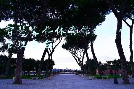 智慧文化体育馆场运营管理平台