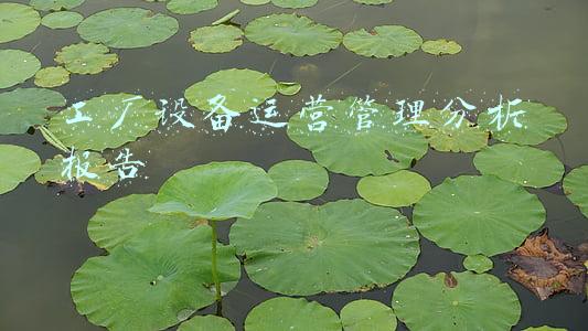 工厂设备运营管理分析报告