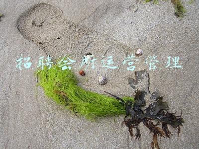 休闲会所招聘(夜场招聘新人工资待遇高，通往成功之路)