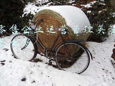 零售企业运营管理英语怎么写