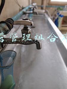 运营管理组合布局
