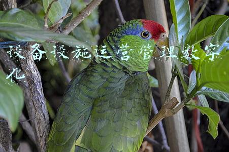 设备设施安全(注册安全工程师安全管理考点特种设备设施安全，注安师学霸笔记)