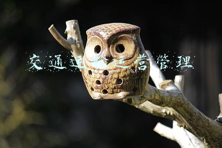 交通运输运营管理