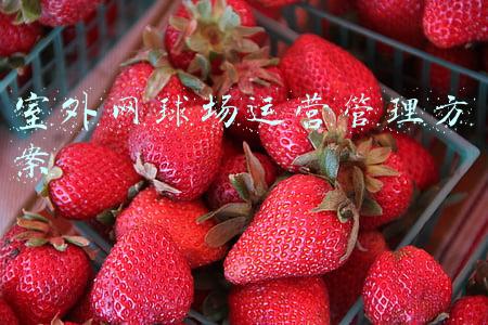 室外网球场运营管理方案