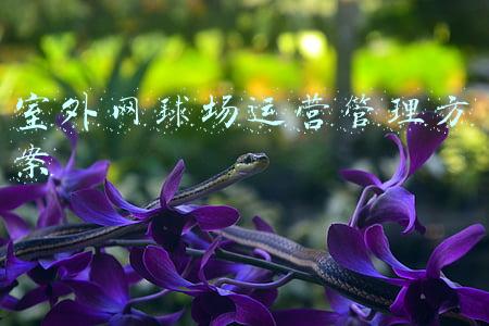 室外网球场运营管理方案