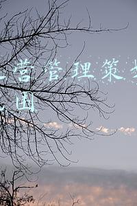 资产运营管理策划公司经营范围
