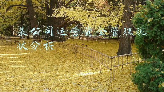 某公司运营资金管理现状分析