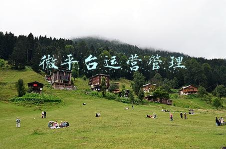 微缘运营平台登录(78人被抓！网络直播淫秽表演，还能一对一观看，3个犯罪团伙被打掉)