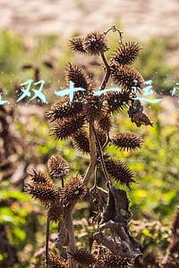 速卖通双十一运营策划书