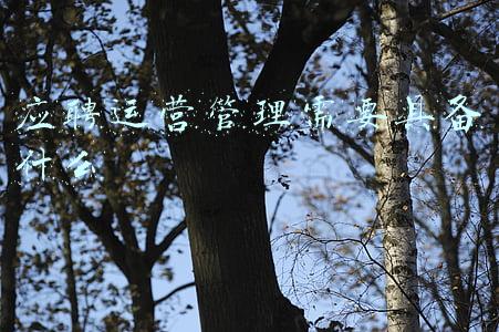 应聘运营管理需要具备什么