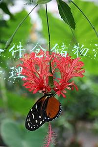 汽车零部件仓储物流配送管理(FA零部件仓储物流配送中心的规划设计)