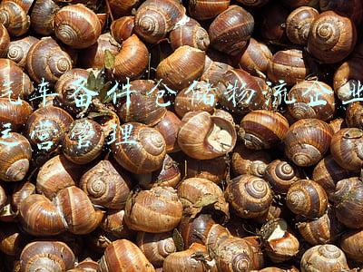 汽车备件仓储物流企业运营管理