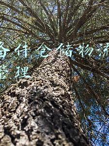 汽车备件仓储物流企业运营管理