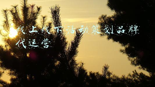 线下活动推广(全面营造浓厚法治氛围！坪地街道举办国家宪法日暨宪法法治动漫线上线下推广活动)