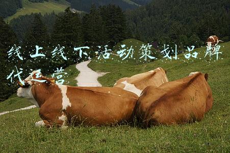 线上活动的策划(怎么策划一次线上活动？)