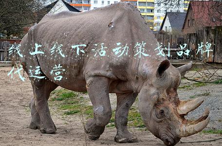 线上线下活动策划品牌代运营