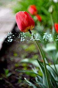城市交通运营管理专业介绍(2022年河北省高职单招B考试二类（能源动力与材料等所涉及专业）)
