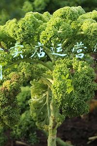实体专卖店运营管理思维导图