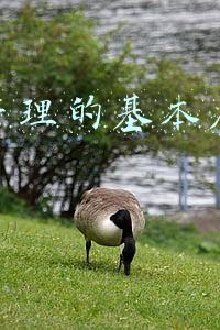 属于营运管理领域的应用指引有(企业集团运营管理数字化转型（一）：数字转型产品规划的核心价值)