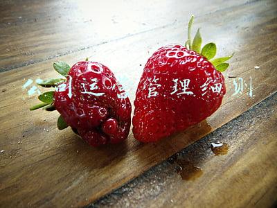 公司运营管理细则