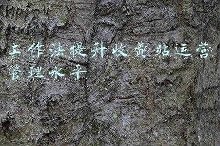 工作法提升收费站运营管理水平