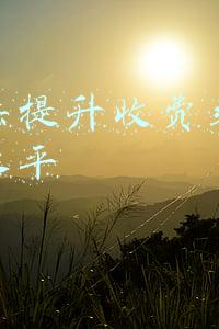 工作法提升收费站运营管理水平