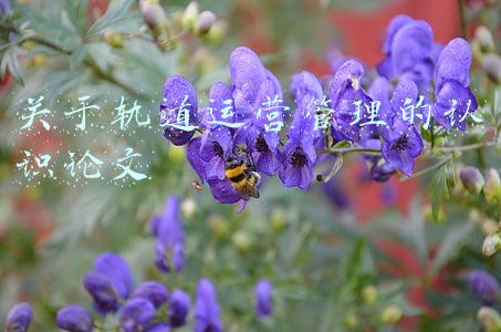 关于轨道运营管理的认识论文