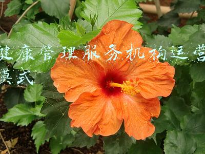 提供健康管理服务的机构可以是哪些(聚焦“一老一小”乐成集团与中国特色养老同频共振)
