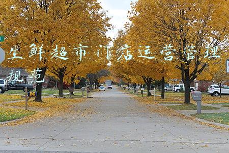 生鲜超市门店运营管理规范