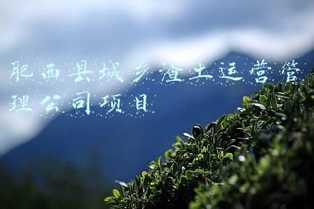 肥西县城乡渣土运营管理公司项目