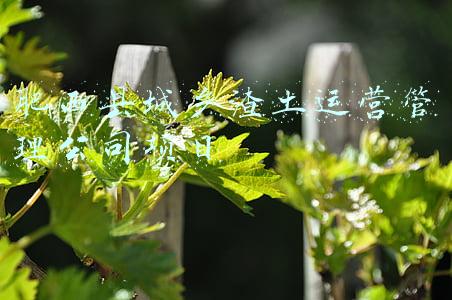 肥西县建筑工程有限公司(肥西青龙路即将放行通车)