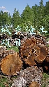肥西县(肥西县新投用30台新能源公交)