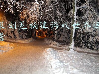 游戏王黑魔导卡组构建(游戏王决斗链接：纯·黑魔导卡组快乐加倍，这就是版本新活吗？)