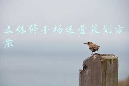 立体停车场运营策划方案