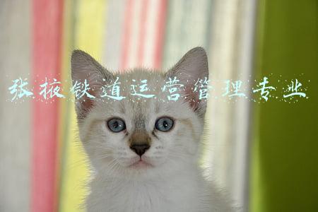张掖铁道运营管理专业